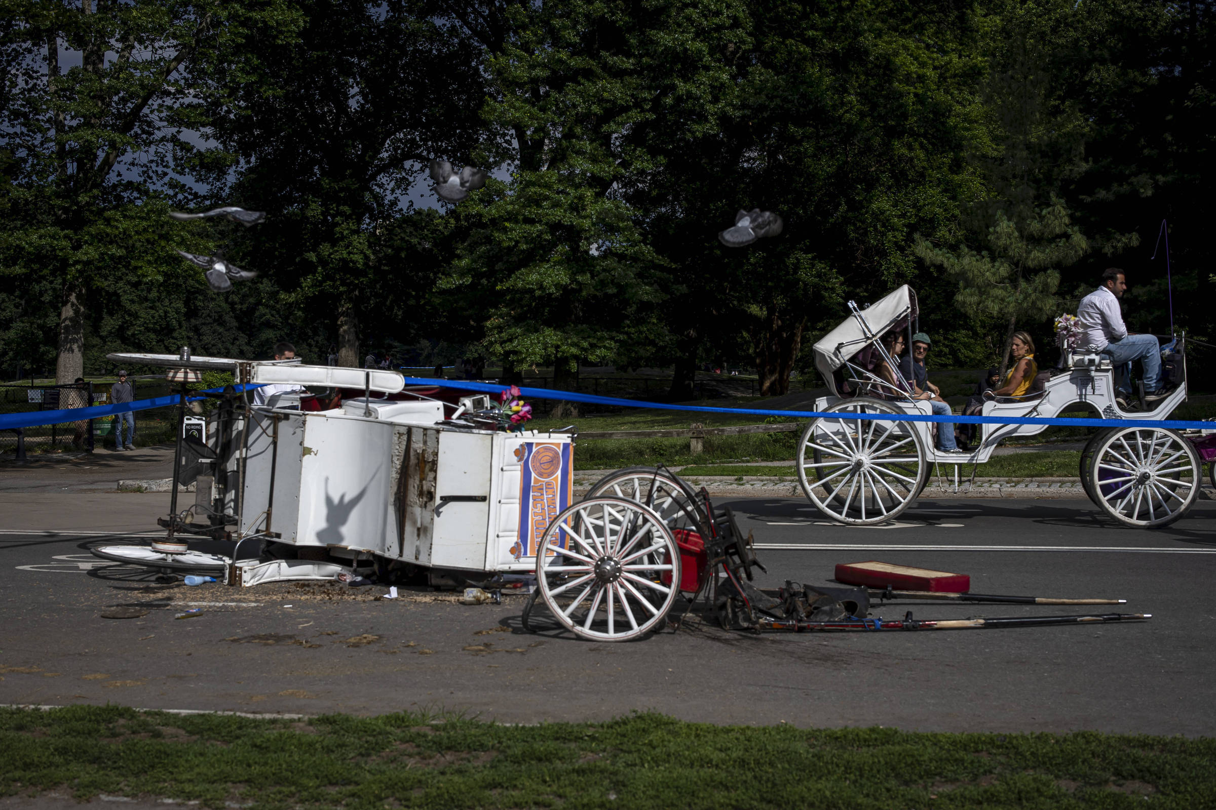 Passeios de carruagem no Central Park, em Nova York, são suspensos após homem morrer em queda